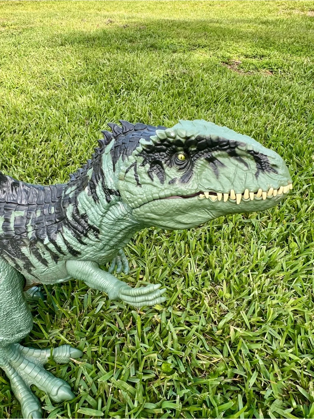 Jurassic World Super Colossal Giganotosaurus 40”  Green Giant Dinosaur Dominion